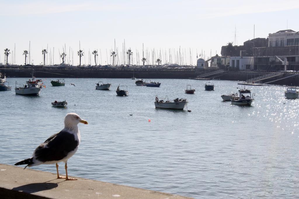 Charming Cascais Apt. Apartment Room photo